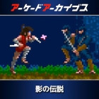アーケードアーカイブス 影の伝説