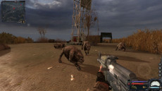 ꡼ No.014Υͥ / S.T.A.L.K.E.R.: Legends of the Zone TrilogyסSwitchѥåǤȯ䡣θȯŽ꤬ΥХХۥ顼FPS