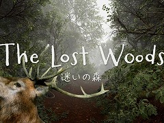 見知らぬ森からの脱出を目指す,8番出口ライクのADV「TheLostWoods / 迷いの森」2025年1月にSteamでリリース