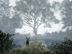 さまざまな異変が起こる森からの脱出を目指す。「TheLostWoods / 迷いの森」,Steamで配信開始