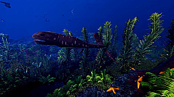 Ecosystem