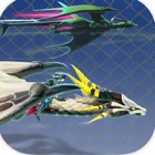 JET DRAGON