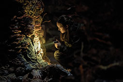 画像ギャラリー No.003のサムネイル画像 / ドラマ「THE LAST OF US シーズン2」，日本語吹替版の配信をU-NEXTで開始。山寺宏一さん，杉田智和さんらゲーム版と同じキャストを起用