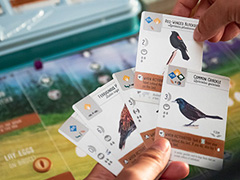 関税に追い詰められたボードゲームメーカーが,トランプ氏を提訴する