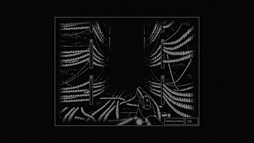 ꡼ No.007Υͥ / Υǻǥܥ٤ФߤõREPOSEסSteamۿϡŻƤˤĤơʤˤʹƤϤʤʤ
