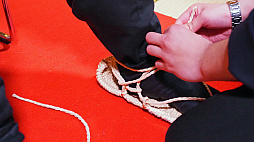 ꡼ No.027Υͥ / Υץ쥤ݡϡֿĹ˾ ŷؤƻפθơĤǤ˹ɤ夻줿ǥݡ