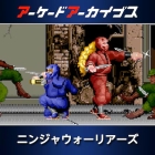 アーケードアーカイブス ニンジャウォーリアーズ