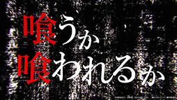 ꡼ No.004Υͥ / ҥ륤 ALL INפΥƥPV