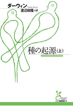 ꡼ No.005Υͥ / ̿εŪŪǿοʲְҤǤǤסʥޡΤΥ֥åɡ43