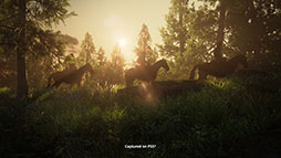 ꡼ No.005Υͥ / PS5ХɥThe Last of Us Completeסȯ䡣ɲåƥĤޤ᤿꡼2ʤ˳ڤ