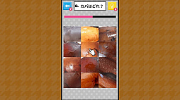 Ǿȥ쥯 ʪõäǾ襢ϳ軨ضܿǥƥȡ