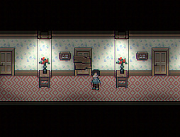 Illusion Box