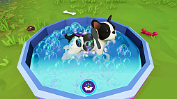 ꡼ No.001 | Cute Puppy Academy 襤Ҹǥߡ