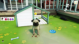 Cute Puppy Academy 襤Ҹǥߡ