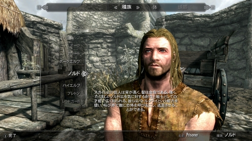 ꡼ No.017Υͥ / ޥǤǻϤThe Elder Scrolls IV: Oblivionס꡼̤иǤ¿ɡPR