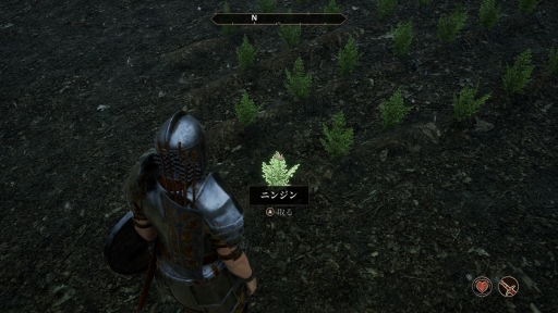 ꡼ No.026Υͥ / ޥǤǻϤThe Elder Scrolls IV: Oblivionס꡼̤иǤ¿ɡPR