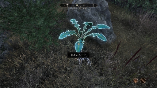 ꡼ No.052Υͥ / ޥǤǻϤThe Elder Scrolls IV: Oblivionס꡼̤иǤ¿ɡPR