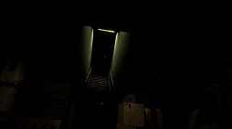 Forest 6174