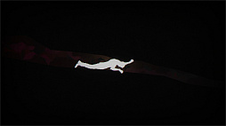 The Cave Diver