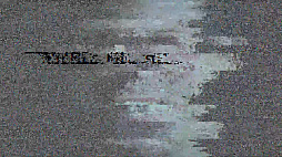 ꡼ No.008Υͥ / ۥ顼Dead Takeס㥹Ⱦ1Ƥȯɽˡ롦˥塼ܥ󤵤󡤥٥󡦥󤬽б