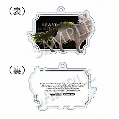画像ギャラリー No.009のサムネイル画像 / ゲームフリークの新作「Beast of Reincarnation」，登場キャラクターの担当声優を公開。パッケージ版の店舗別購入特典の情報も明らかに