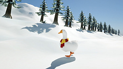 Ducky: The Curious