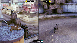 Little Strays