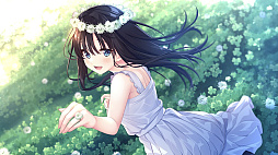 ļ˷