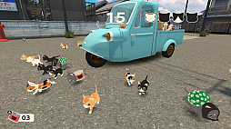 ͥߥKittens invasion