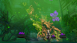 ꡼ No.029Υͥ / ֥饤Υȥꥨ̩ȥDXסȯ䡣̩ץ꡼3ʤ˿ץ쥤֥륭䥹ȡ꡼ɲä