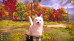 ꡼ No.002 | Animal Shelter 2