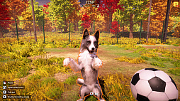 ꡼ No.009 | Animal Shelter 2