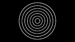 Echo Maze