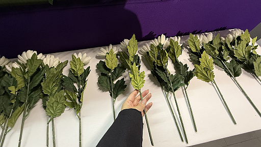 ꡼ No.017Υͥ / ζǡ״Ÿݡȡ뺧򵷡֤魯ġĿΥɥޤơޤˡζǡפ餷̣廊