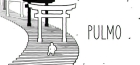 ѥå