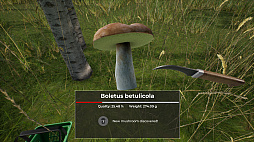 ꡼ No.001 | Mushroom Hunter World