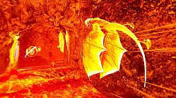 The Phoenix Gene VR