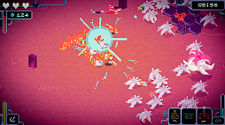 ꡼ No.006 | Bermuda Survivor