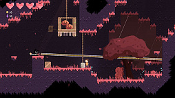 ꡼ No.007 | Meowphoria