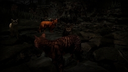 ꡼ No.007Υͥ / 1ɤǭȤʤꡤȤκƲܻؤۥ顼ADVMeowmories -meowmare adventure-סSteamȥڡȥƥPV