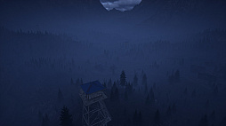 ꡼ No.007 | WOLFMAN