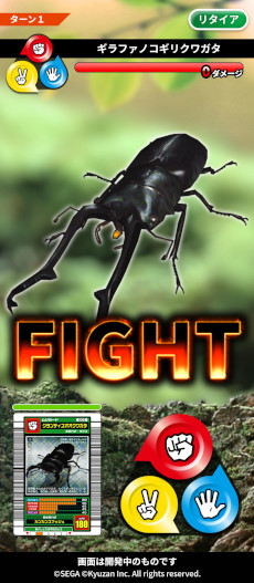 ꡼ No.004Υͥ / ֹԥॷ󥰡פȤ֥å󥲡MUSHInomics with MUSHIKINGס11ܤ˥꡼