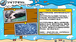 ꡼ No.007Υͥ / ֤ĤǤѥΥο²ۿ޴աסȯ䡣ʪ²ۤˤĤƳؤ٤륲