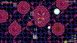 ꡼ No.007 | ARONDIGHT 