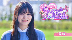 ꡼ No.005 | ҴΥƥ ӥӥ