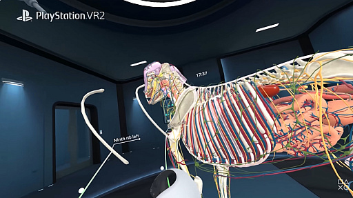 ꡼ No.001Υͥ / VR˶إץAnimal AnatomyסPS VR2Meta Quest˥꡼٤˺Ƹ줿ǥǡưʪΤ꿼Τ
