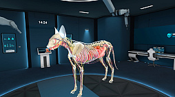 ꡼ No.001 | Animal Anatomy XR