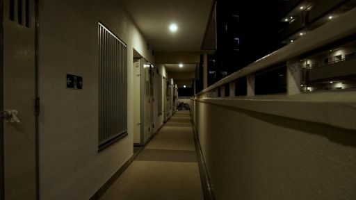 ꡼ No.006Υͥ / ̯ä˵˸4Ĥʪ줬ڤۥ顼ADVֲֹ20ߡߡʥˡޥХĥХġˡסSteamȥڡ