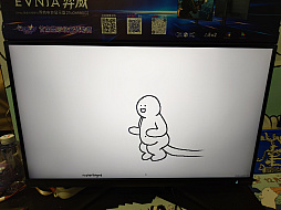 ꡼ No.020Υͥ / ̯ʤΤˡʤ뤤ȥꥢΤäѤ֥֥ƥ󥰥סWePlay2025