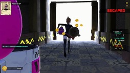 ꡼ No.009Υͥ / 饤٤礤VIVA NOBOTSסOBT1212˳ϡܤˤʤ꤭äƤå礦Хȥ